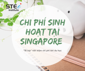 Chi phí sinh hoạt Singapore có đắt đỏ không, tốn bao nhiêu? Chi-phi-sinh-hoat-singapore-300x251