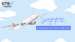 do vat han che nhap canh singapore