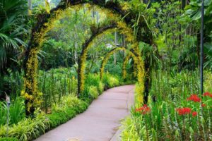 Du lịch Singapore tại Vườn bách thảo - Di sản đầu tiên của đảo quốc được UNESCO công nhận 212-1-300x200