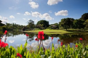 Du lịch Singapore tại Vườn bách thảo - Di sản đầu tiên của đảo quốc được UNESCO công nhận 212-16-300x200