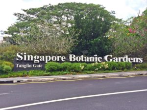 Du lịch Singapore tại Vườn bách thảo - Di sản đầu tiên của đảo quốc được UNESCO công nhận 212-5-300x225