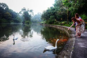 Du lịch Singapore tại Vườn bách thảo - Di sản đầu tiên của đảo quốc được UNESCO công nhận 212-6-300x200