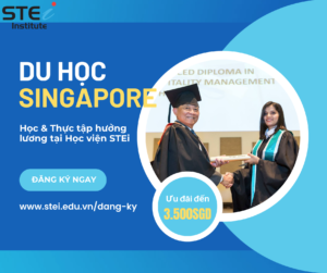 Du học Singapore 2022 - Học & Thực tập hưởng lương từ 20 tr/tháng Post-281-300x251