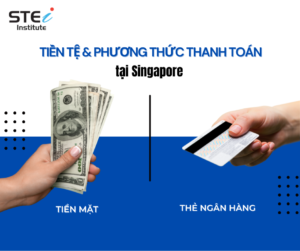 Tiền tệ và các phương thức thanh toán tại Singapore 222-1-300x251
