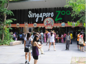 Khám phá vườn thú Singapore - Nơi bảo tồn động vật hoang dã 223-2-300x222