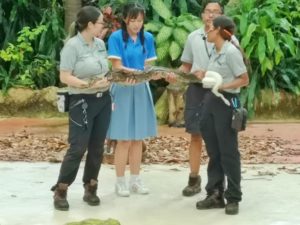 Khám phá vườn thú Singapore - Nơi bảo tồn động vật hoang dã 223-7-300x225