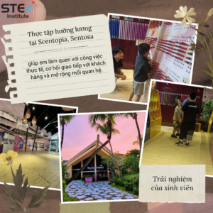 Khám phá hành trình thực tập hưởng lương thú vị của sinh viên STEi, Singapore Post-395.2-300x300